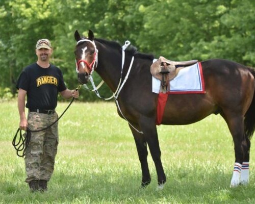 Equine Therapy for Veterans with PTSD