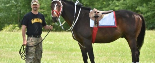 Equine Therapy for Veterans with PTSD and TBI