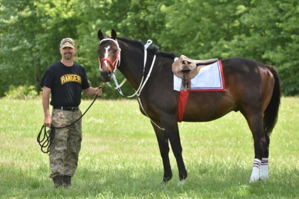 Equine Therapy for Veterans with PTSD