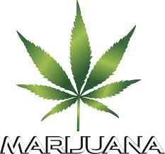 marijuana